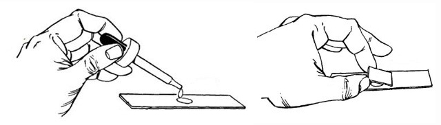 Wet mount instructions drawing