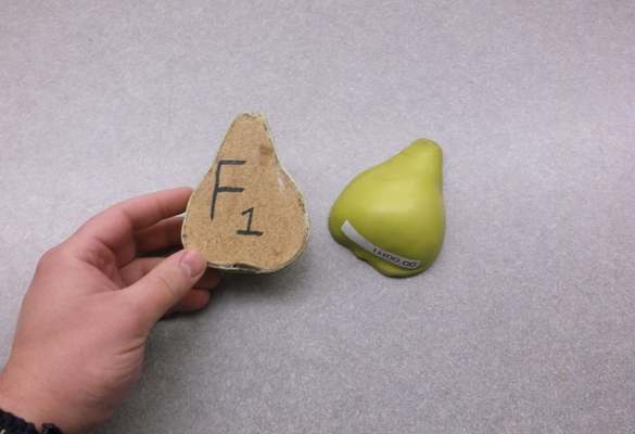 Force Pear