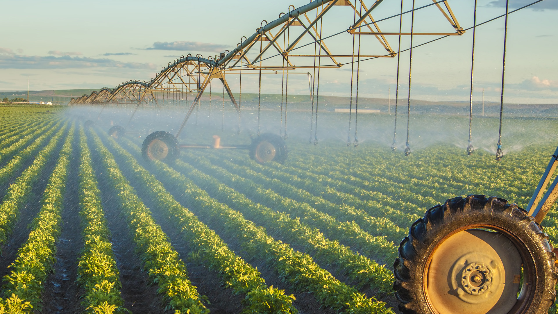 Photo of irrigation pipe in a green field