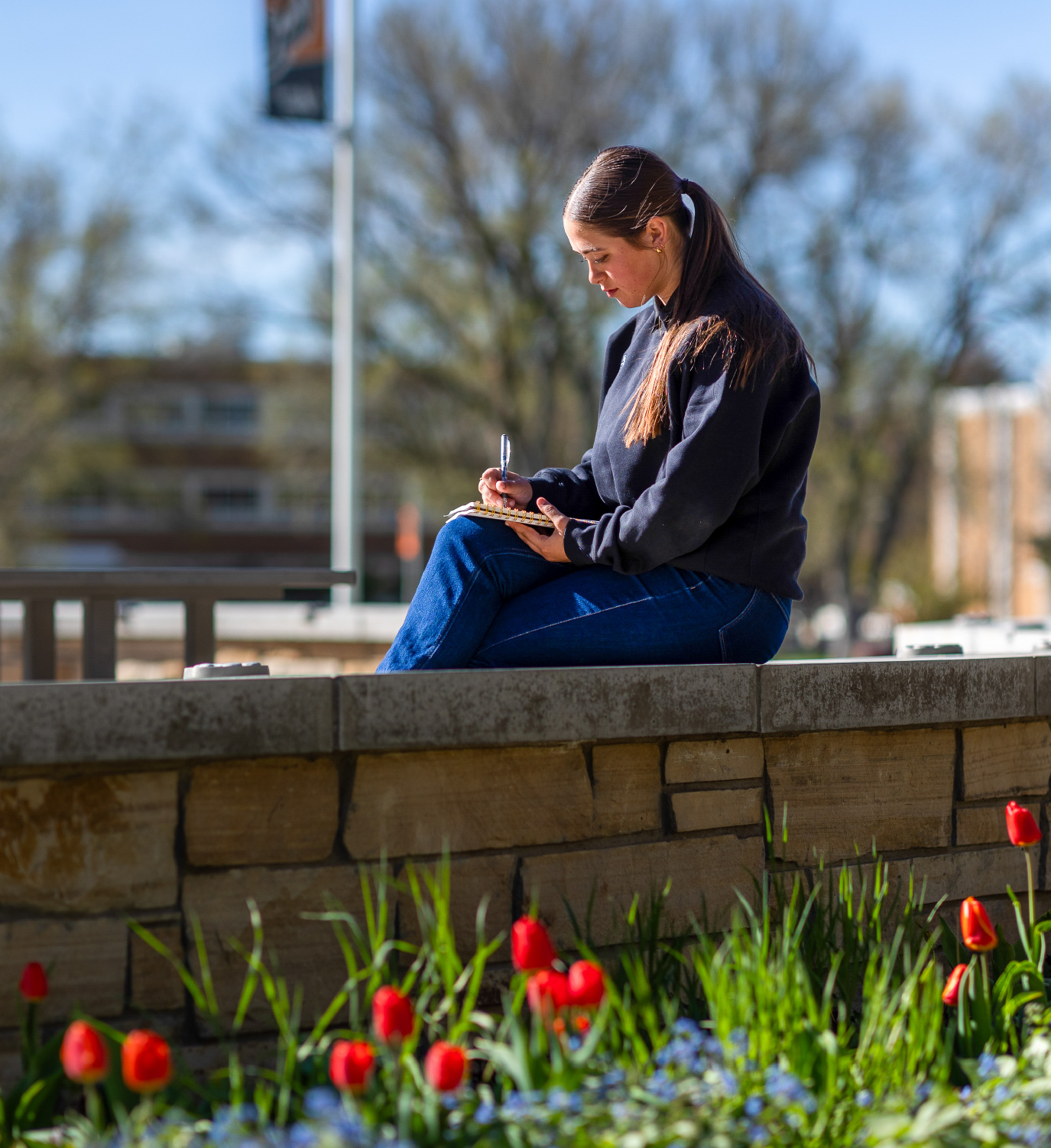A college student sits on a stone wall outdoors, writing in a notebook on a sunny day. Red tulips and greenery are in the foreground, with campus buildings and trees softly blurred in the background, creating a calm and focused study atmosphere.