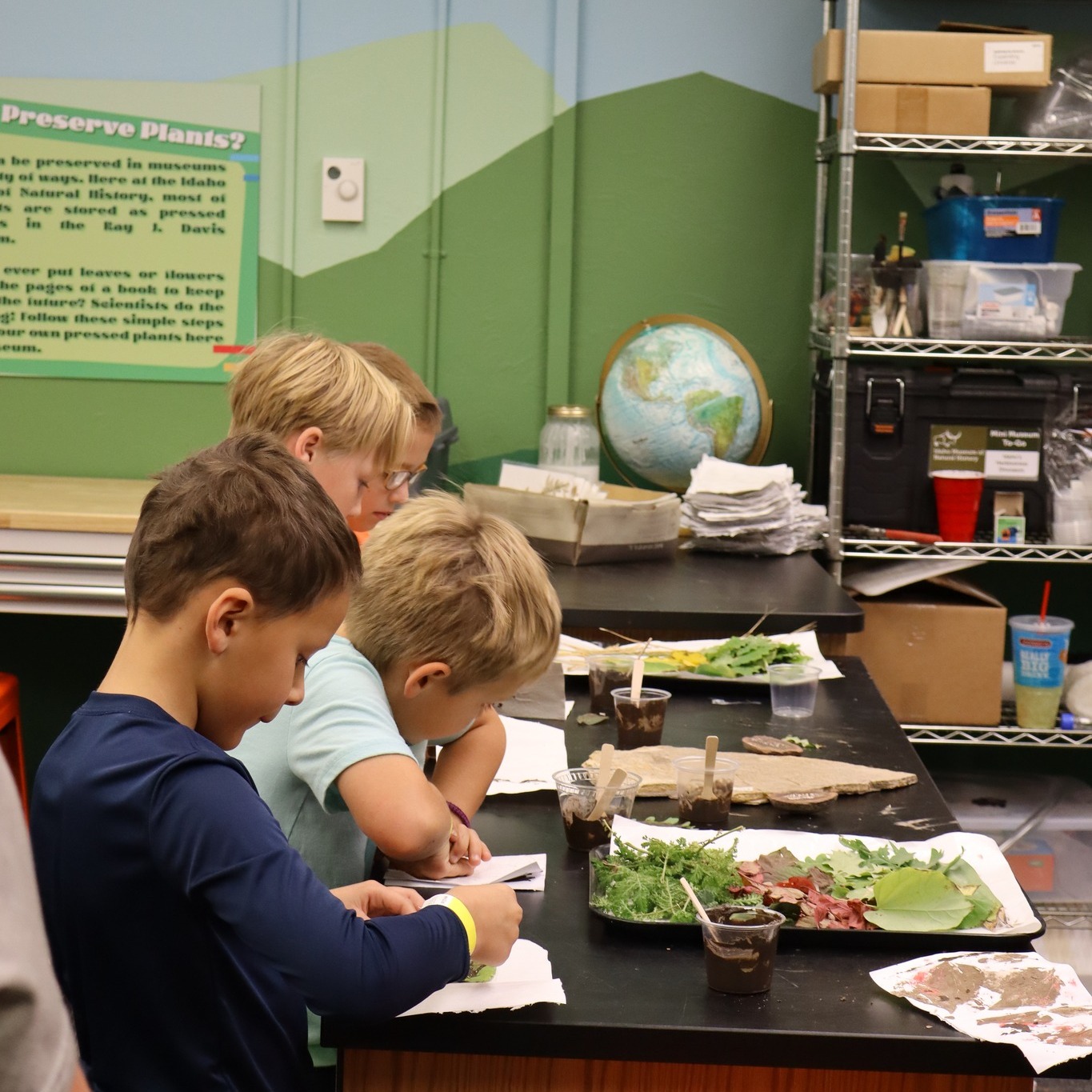 three boys interacting with plant specimens in a museum settting