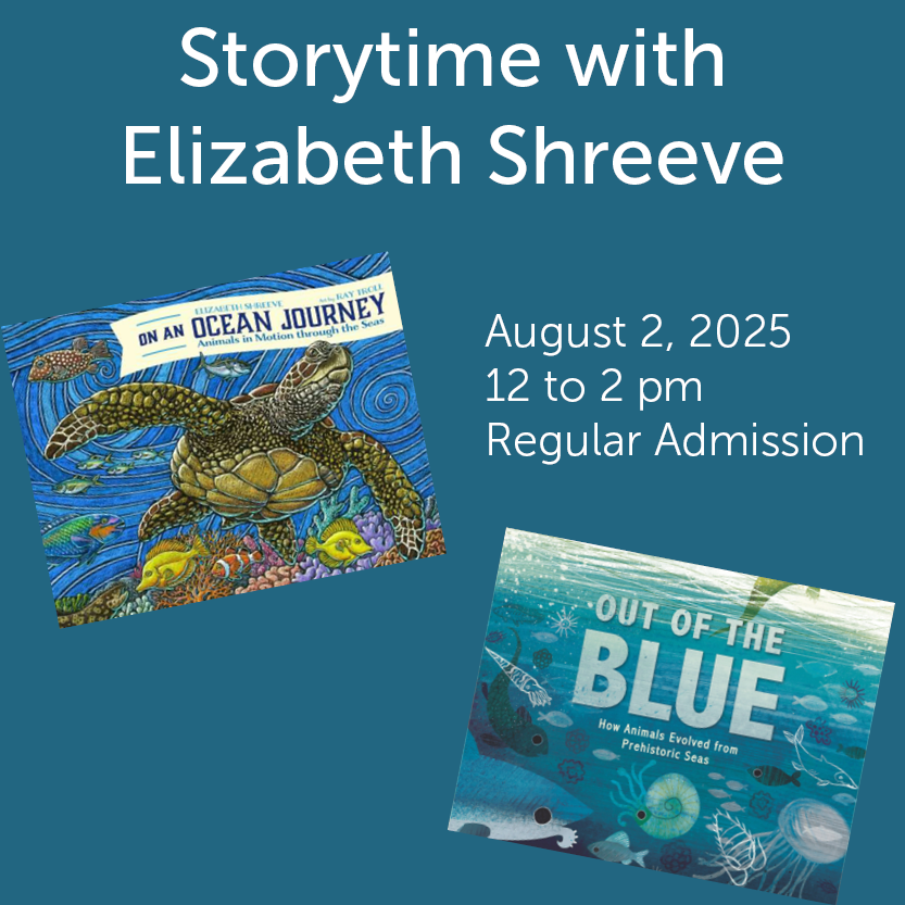 Storytime with Elizabeth Shreeve, August 2, 2025 12 to 2 pm, Regular admission