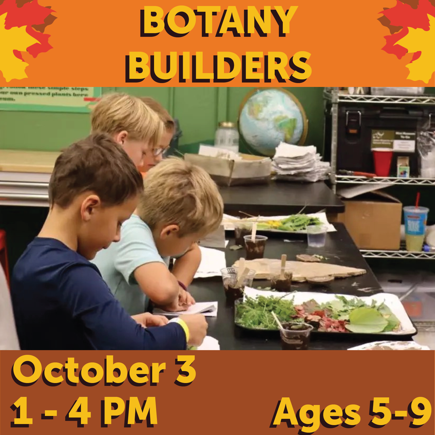 Botany builders, october 3 1 to 4 pm, ages 5 to 9