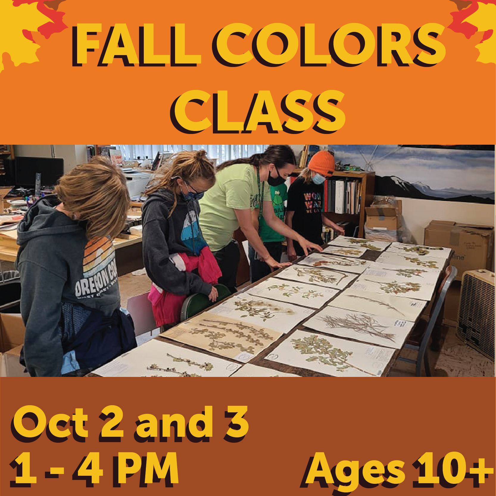 Fall Colors class, Oct 2 or 3, 1 to 4 pm, Ages 10+