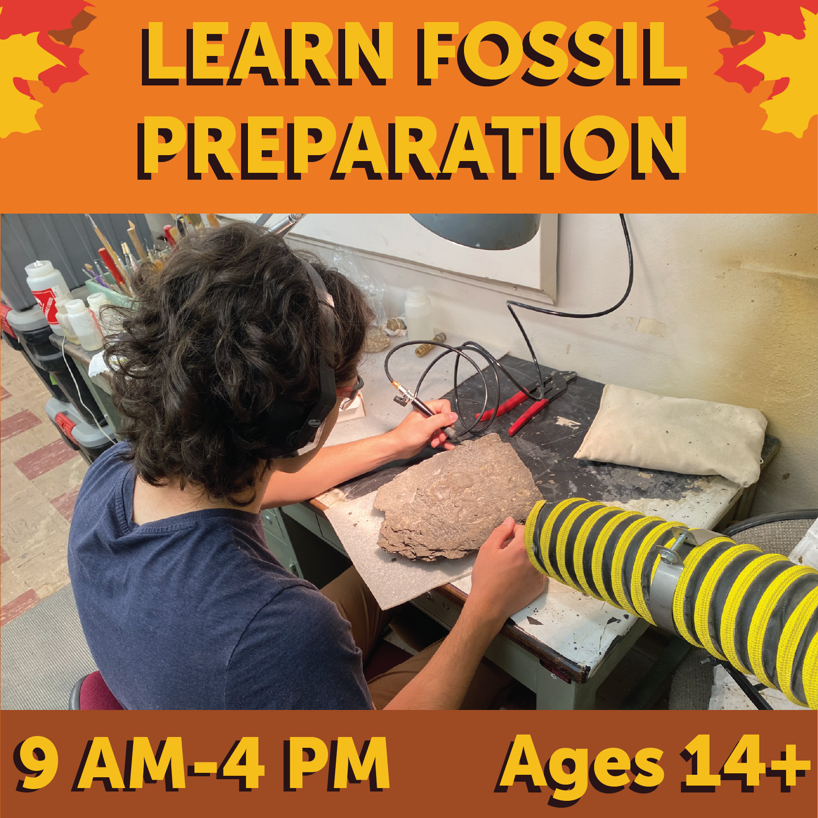 Learn Fossil Preparation 9 am to 4 pm ages 14+