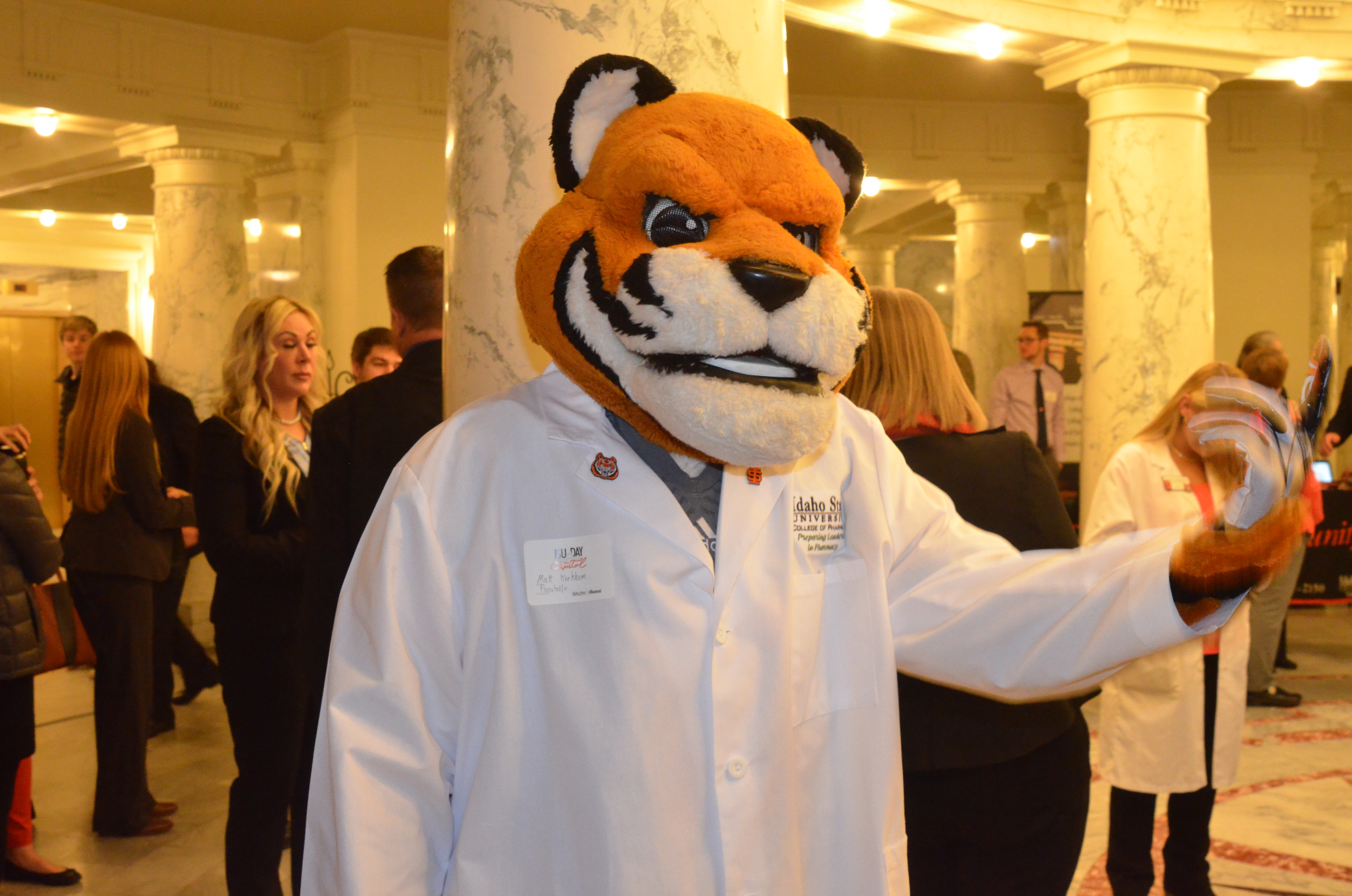 Benny the bengal in a white coat