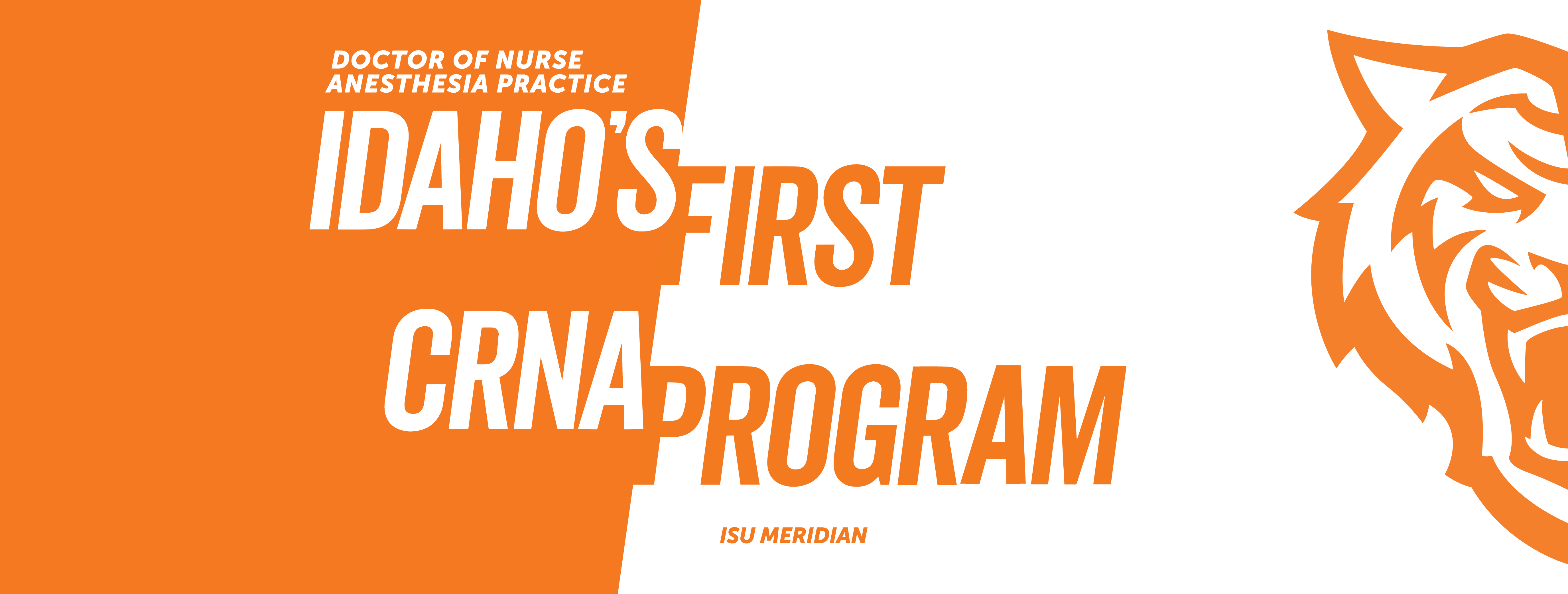 DNAP CRNA cover banner