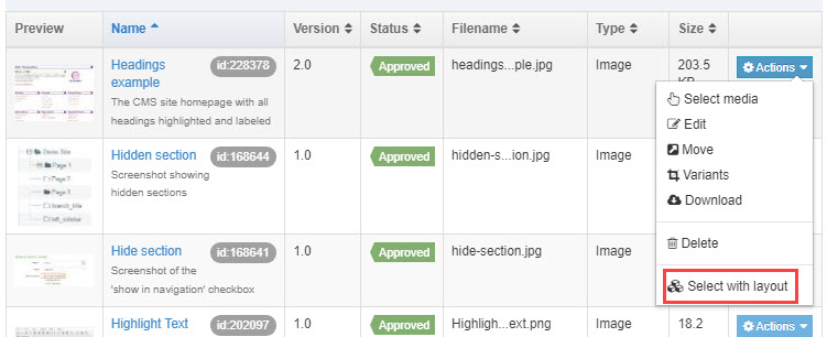 Screen shot of the layout option in the Actions menu